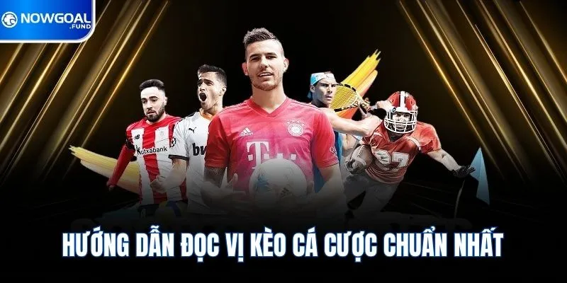 Cách Chơi Cá Độ Bóng Đá Không Thua & Bí Kíp Thắng Đến 99% 2 Hướng dẫn đọc vị kèo cá cược chuẩn nhất